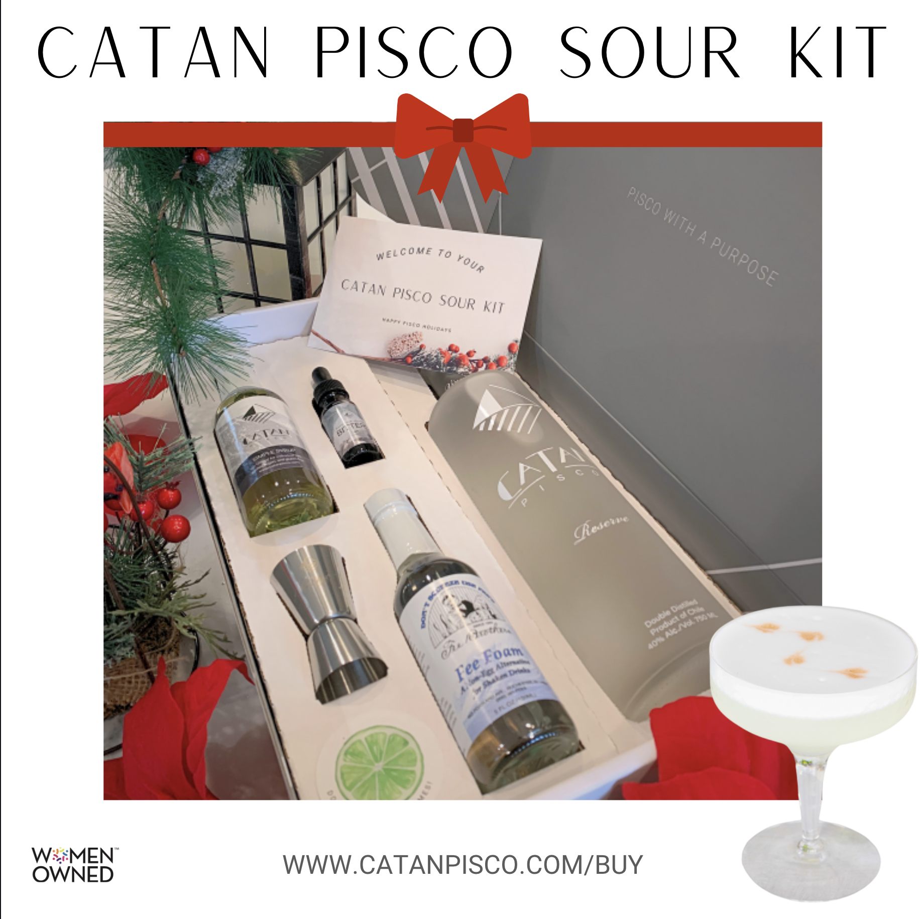 Product Image for Catan Pisco Sour Kit